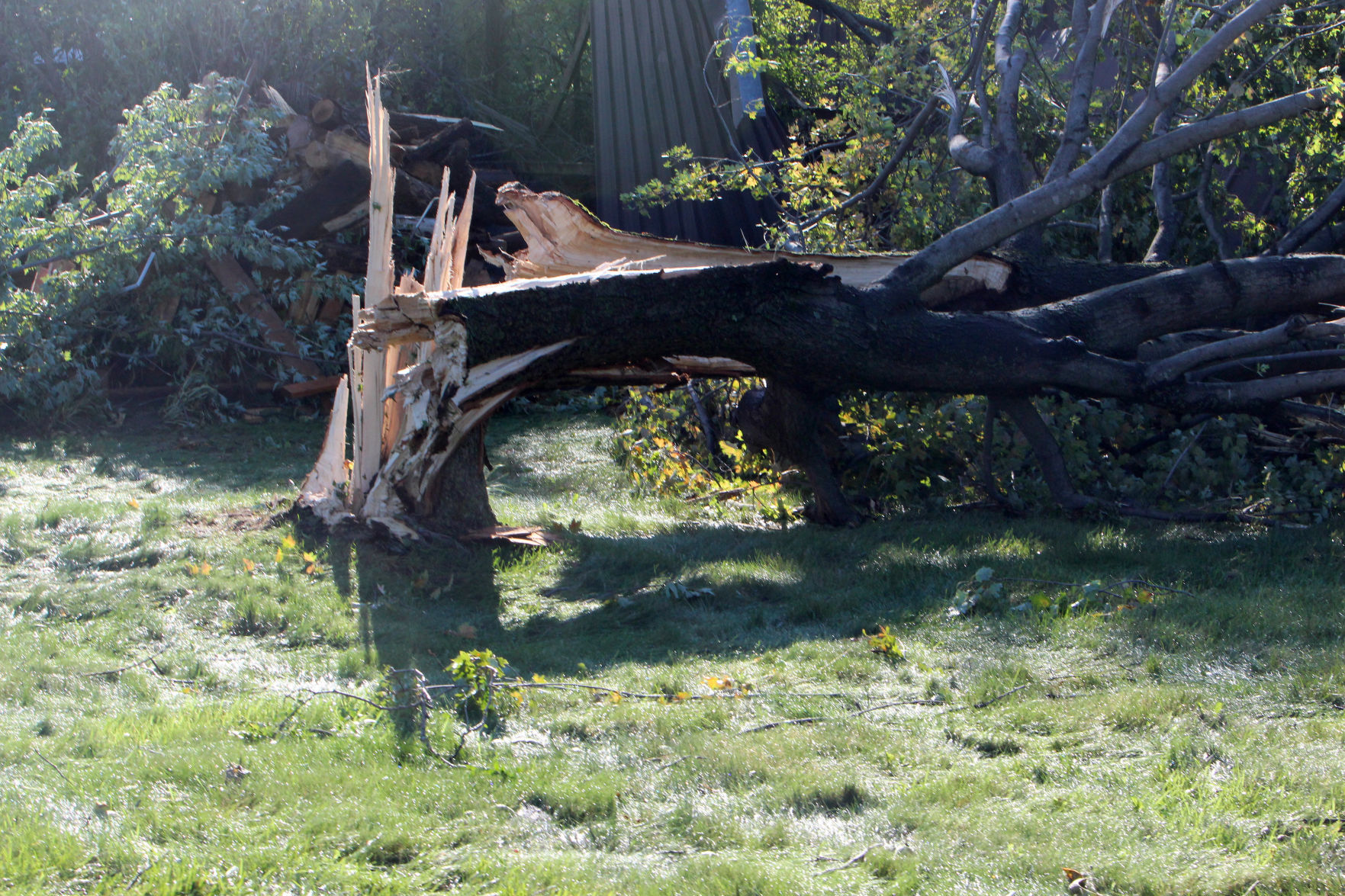 Tornado damage in near Wheaton/Elk Mound 9-25